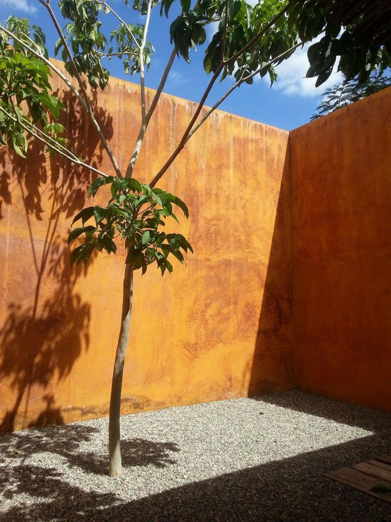 Hotel Cosijo - San Jerónimo Tlacochahuaya Exterior foto